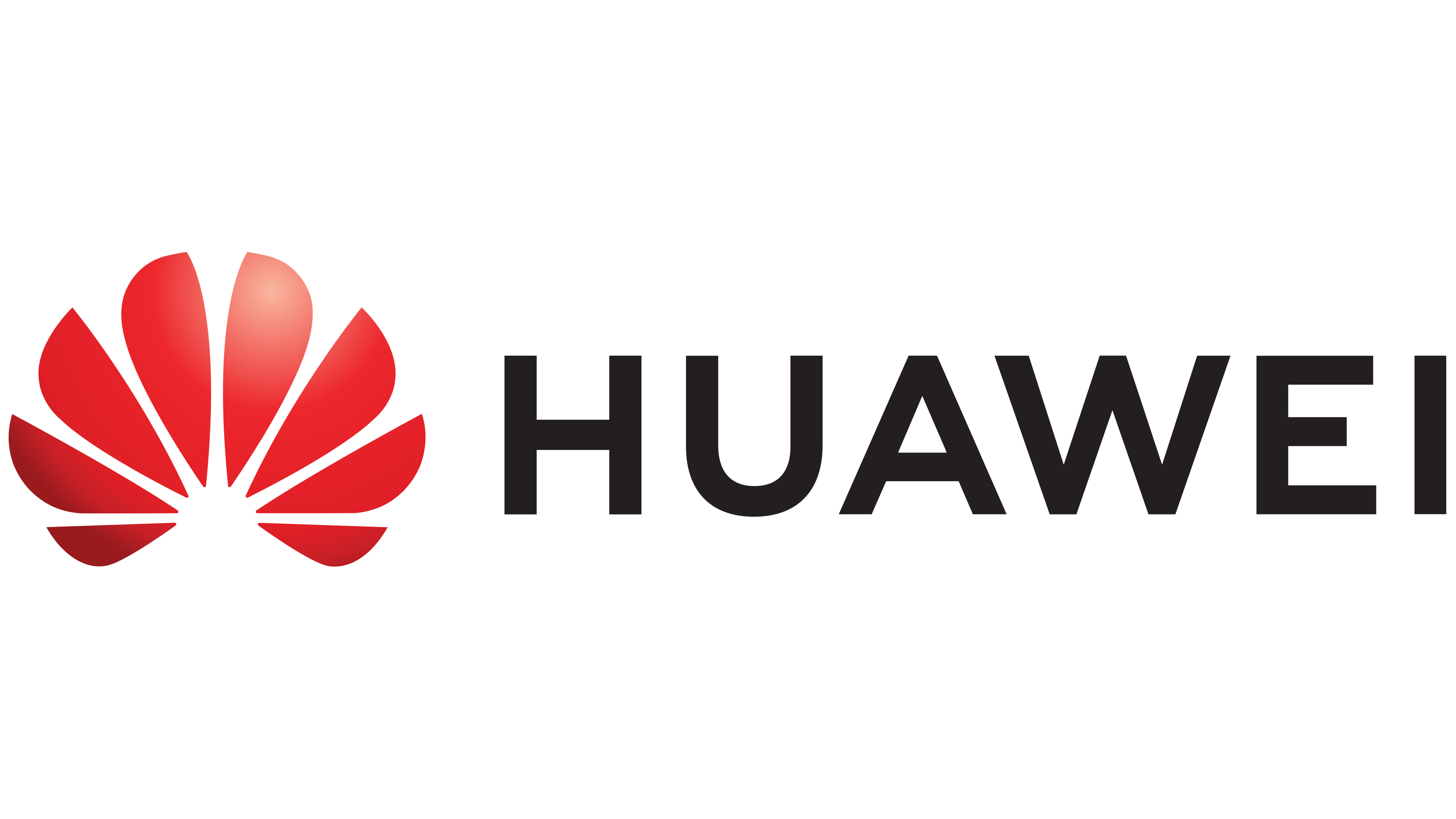 Huaeei logo